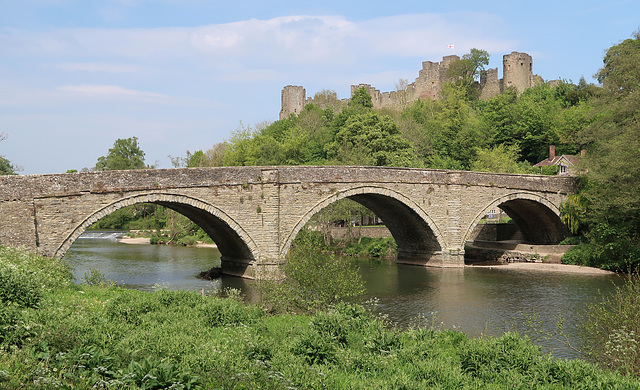 Dinham Bridge