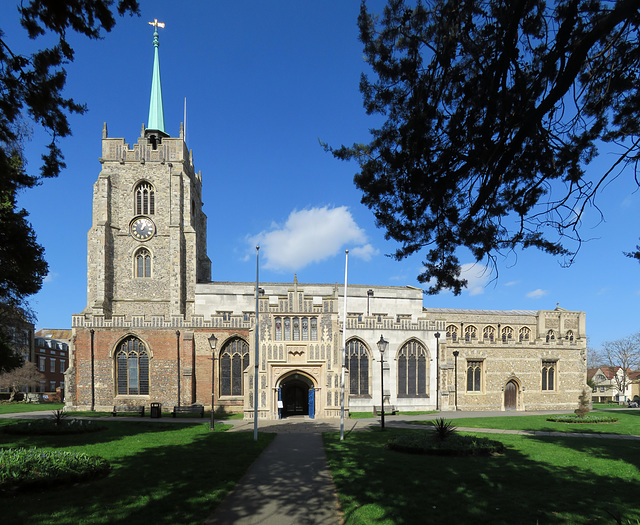 chelmsford cathedral, essex  (1)