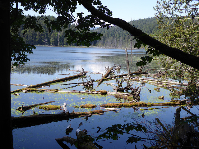 Bowen Lake