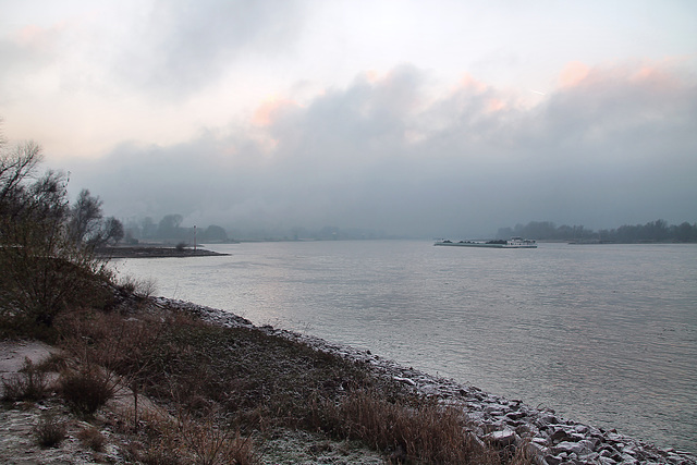 Der Rhein bei Bruckhausen (Duisburg) / 17.12.2022