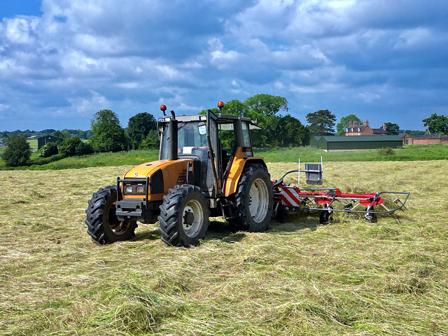 Silage time