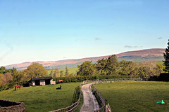 The Road to Mill Dam Cottage Yorkshire Dales 10th May 2026