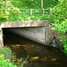 Wom Brook near Rushford Bridge, Wombourne