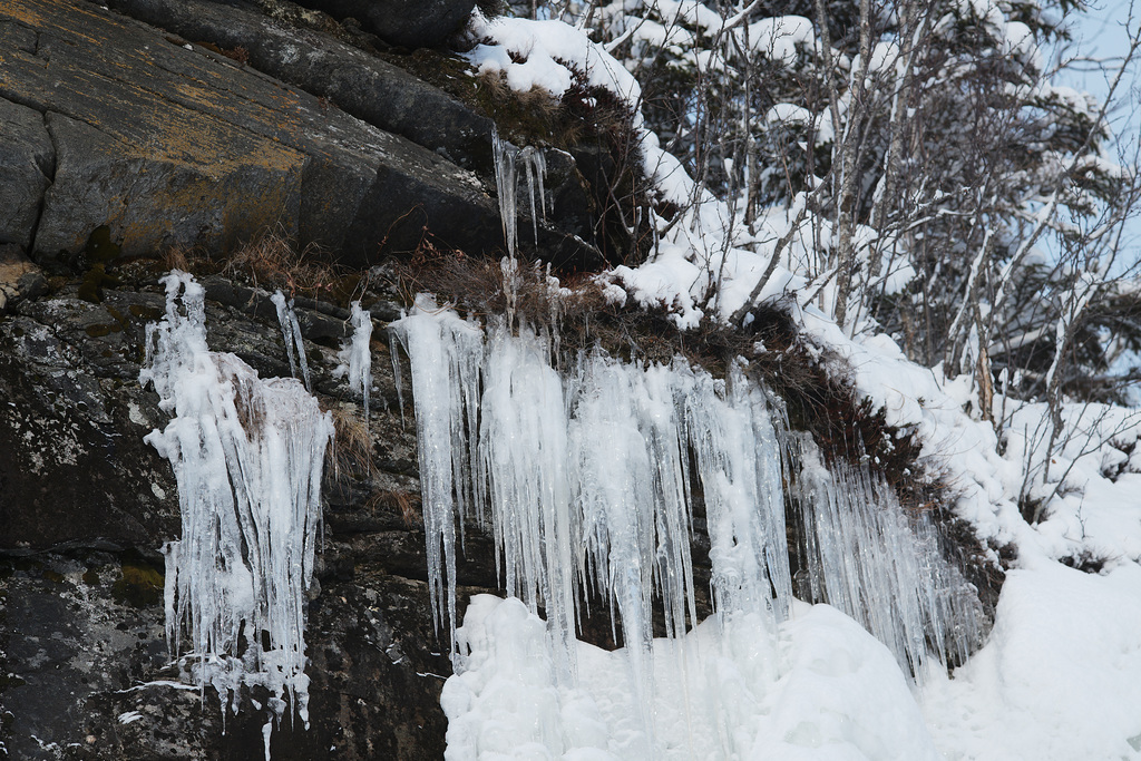 Lapland, Icicles L1006690