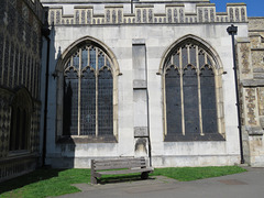 chelmsford cathedral, essex  (4)
