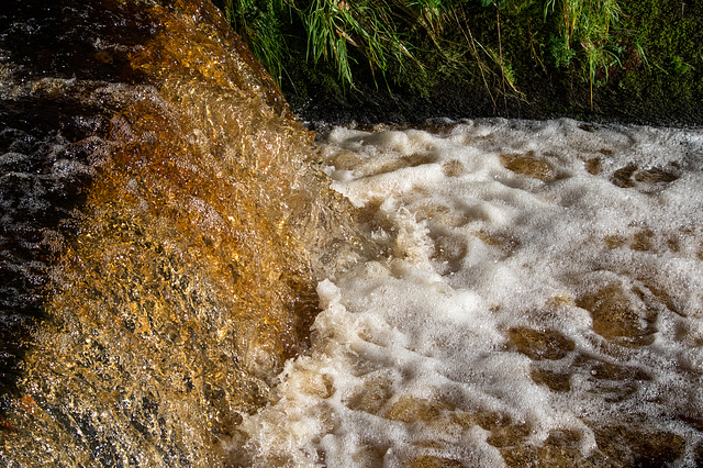 Shelf Brook’s sparkling waters