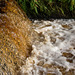 Shelf Brook’s sparkling waters