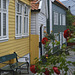 Bergen Old Town 5
