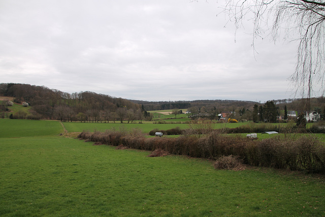 Felder am Sprockhöveler Bach (Sprockhövel-Bossel) / 29.03.2023