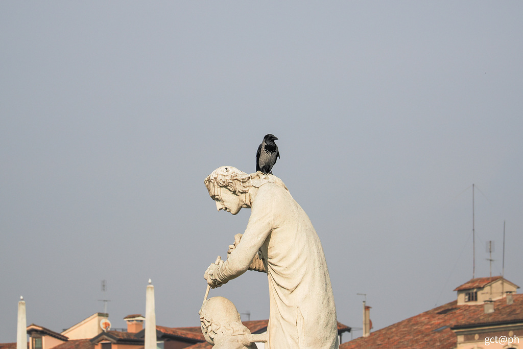 Prato della Valle.