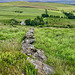 View to Kinder Scout