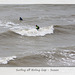 Surfing off Birling Gap, East Sussex - 22.7.2015