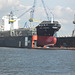 Containerschiff  MSC CORDOBA