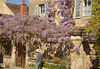 Vézelay.
