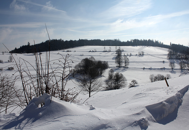 Licht und Schatten im Winter