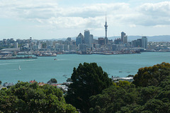 Auckland Skyline From Devonport