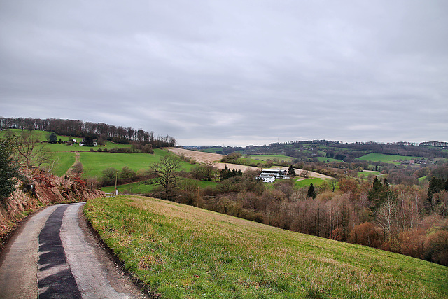 Blick über das Deilbachtal (Hattingen) / 29.03.2023