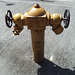 Borne-fontaine SRI / Malaysian hydrant