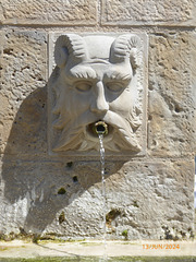 TERRASSON LAVILLEDIEU Dordogne 1/2
