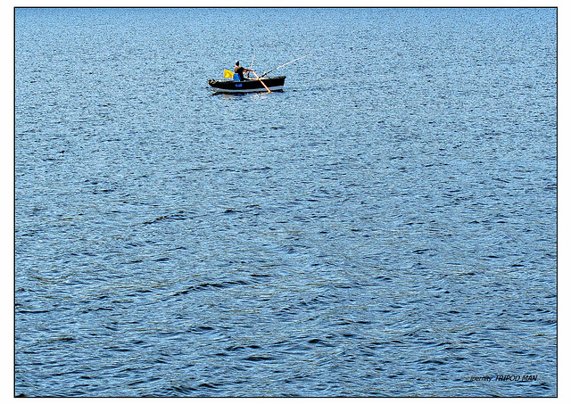 Angler  auf dem Schluchsee