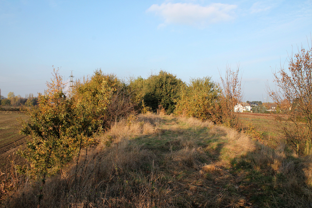 Auf dem alten Zechenbahndamm (Unna-Massen) / 12.11.2016