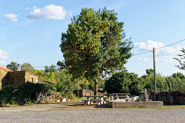 Brunhosinho, Portugal