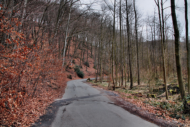 Deilbachweg (Hattingen) / 29.03.2023