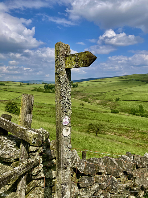 Sign post