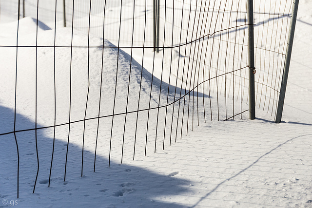 Fence and snow