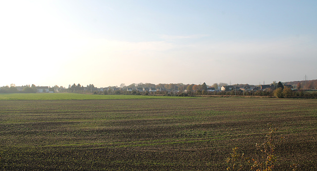 Blick über das Feld bei Massen