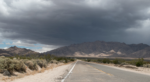 Wonder Valley desert rain / Dale mining district (#1007)