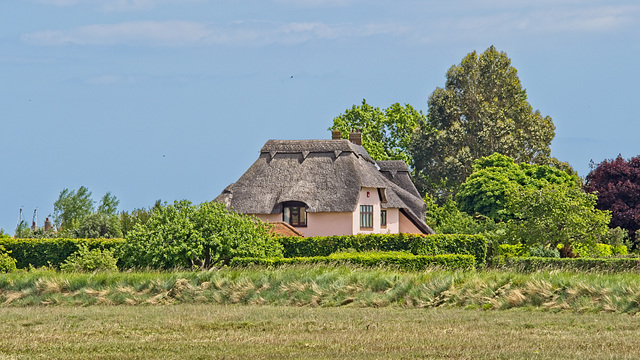 Thatched Cottage