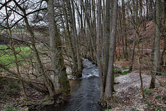 Der Deilbach auf der Grenze zwischen Hattingen und Velbert / 29.03.2023