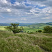 Cown Edge view to Lantern Pike