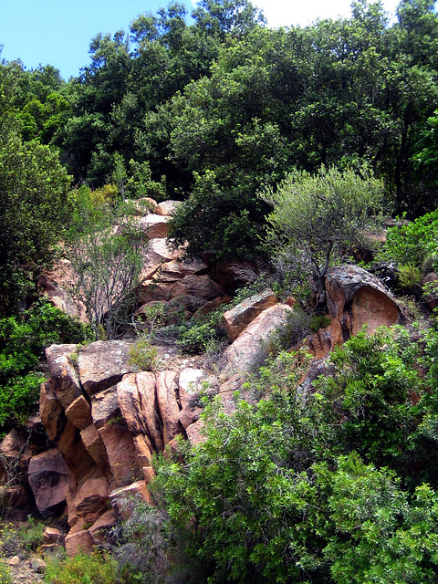 Golfe de Porto - Corse 2014