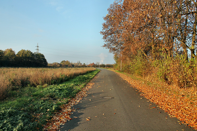 Nordstraße (Unna-Massen) / 12.11.20167