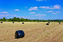 Gnosall fields