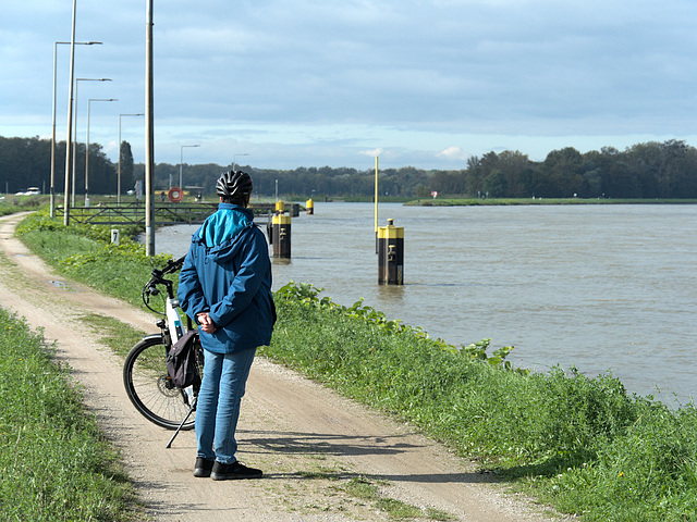 Radweg auf dem Deich