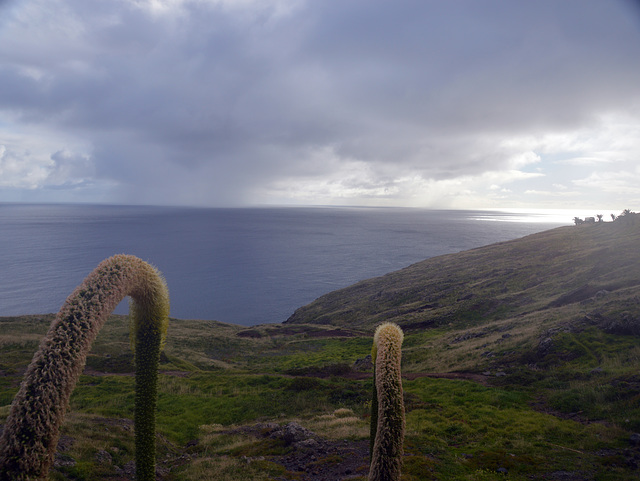 Stimmung am Ende der Waderung