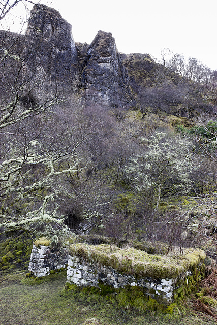 Ruined house by Mossy Hallaig path 1