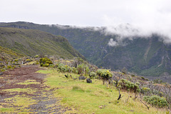 sur la route des Volcans