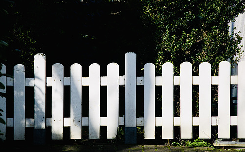 A Fence for Friday