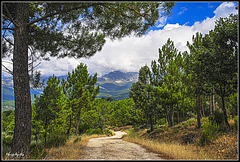 Un paseo por Gredos