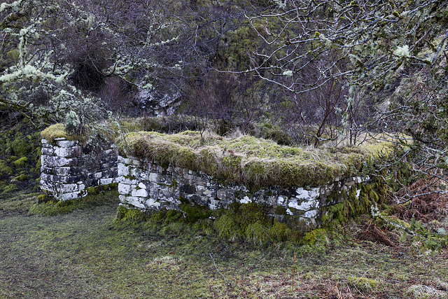 Ruined house by Mossy Hallaig path 3