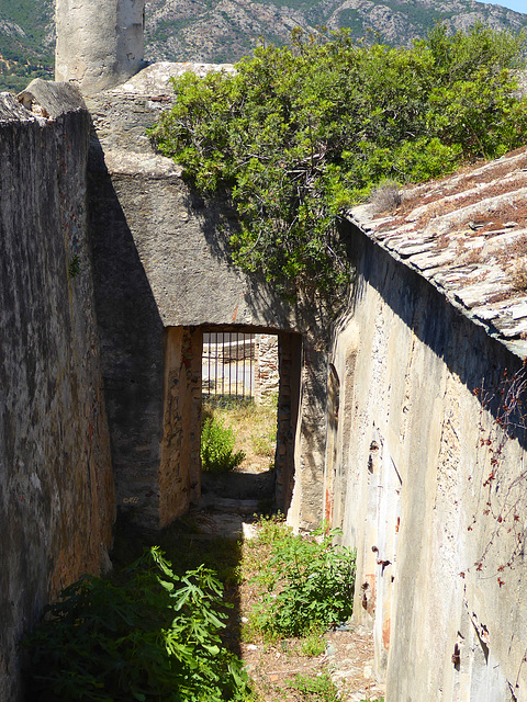 Die Mauer in der Castagnicci