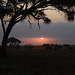 Magic sunset and elephants in the dark. Good bye to our safaris.