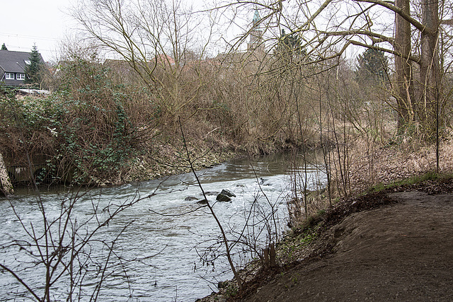 20160217 0064VRAw [D~LIP] Bega (unter Zubringerbrücke), Bega-Aue, Bad Salzuflen