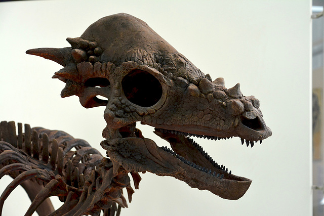 Canada 2016 – Toronto – Royal Ontario Museum – Dinosaur