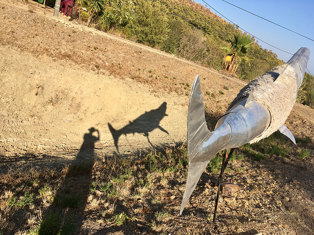 Der Schatten des anglers