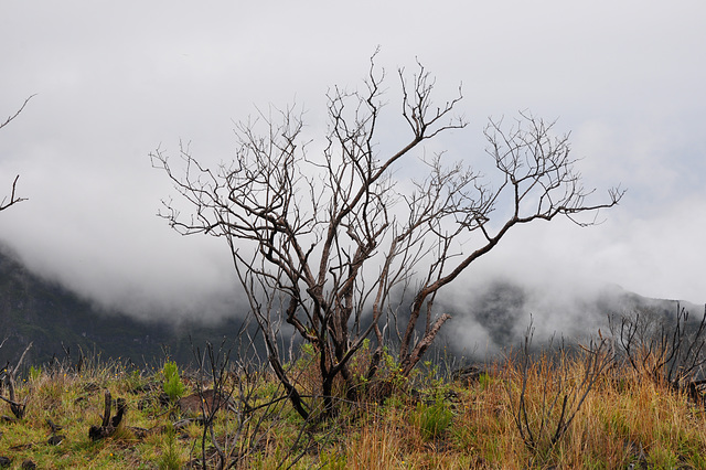 sur la route des Volcans